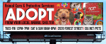 OOH & MOBILE DRIVE PET ADOPTIONS